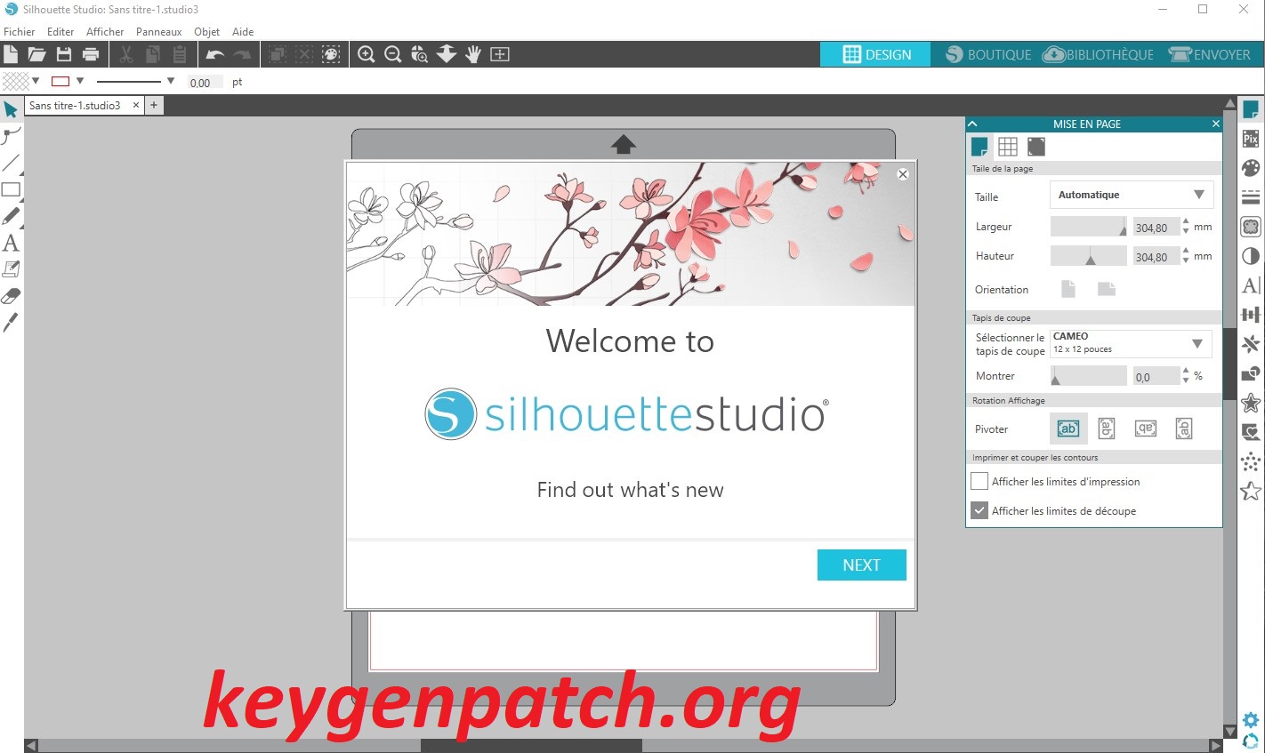 Silhouette Studio 4.5.152 Crack & License Keys Download 2023